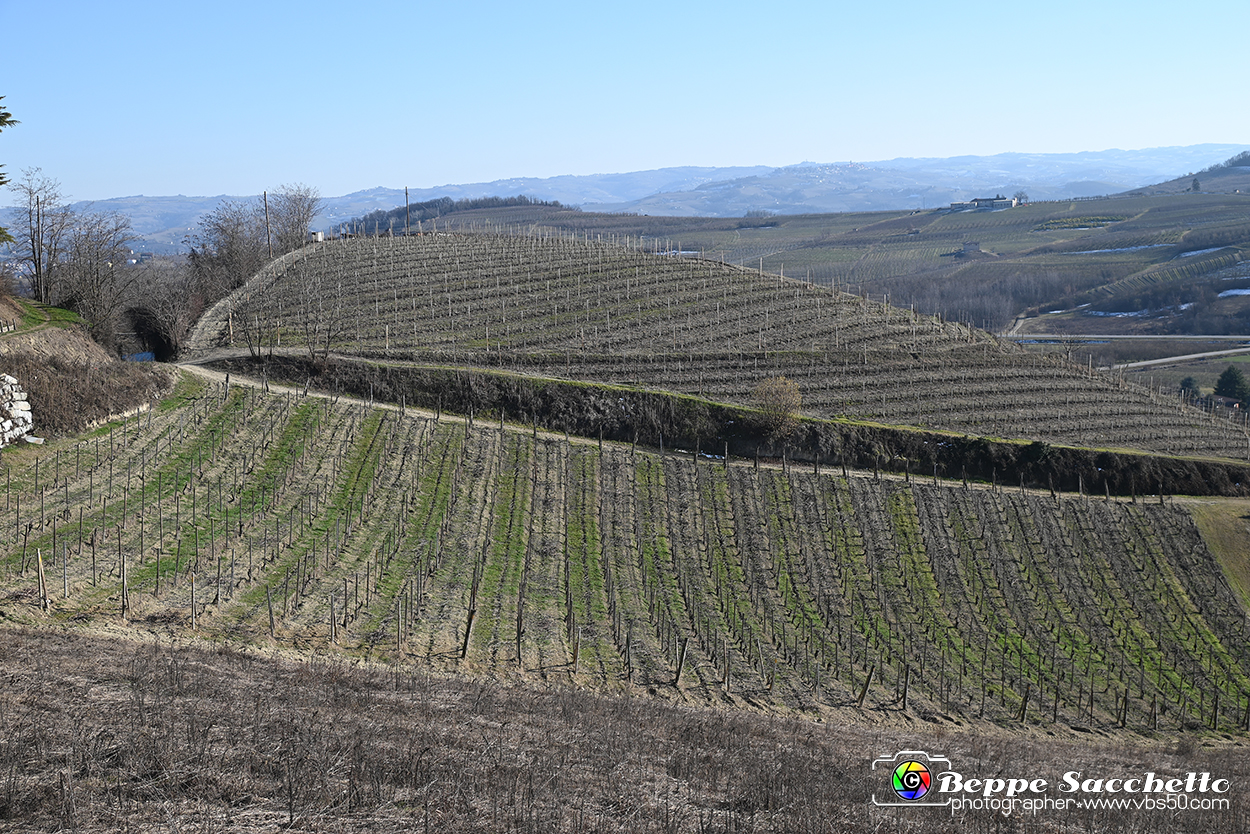 VBS_0826 - Corneliano d'Alba.jpg